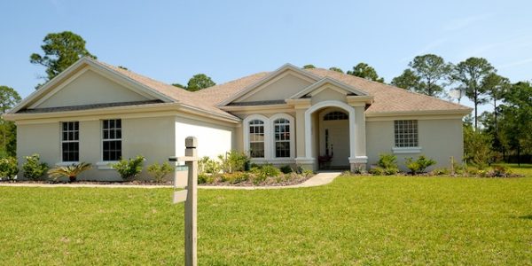 pexels-pixabay-210617 (1)